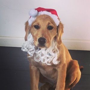 Meet your Posher, Kadee